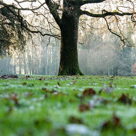 Romagne  Chateau De La Chasse Beauvais المظهر الخارجي الصورة