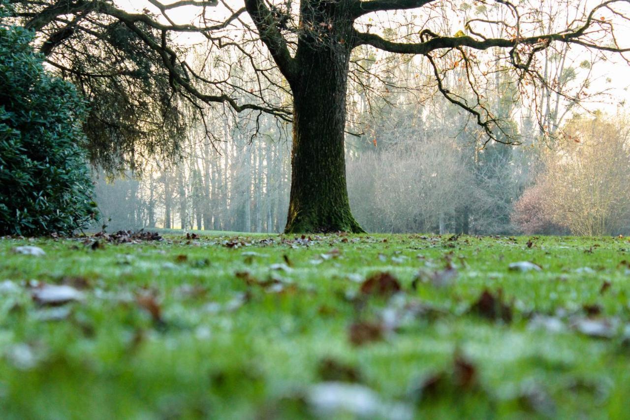 Romagne  Chateau De La Chasse Beauvais المظهر الخارجي الصورة